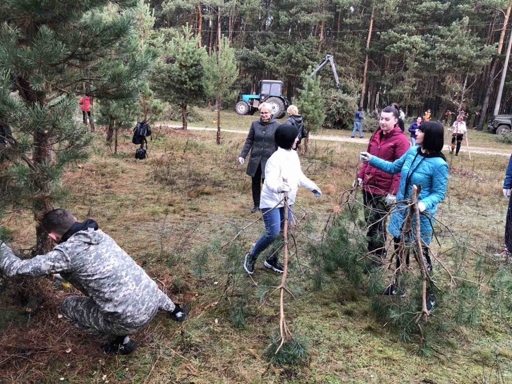 изображение_viber_2022-10-29_13-48-34-643.jpg